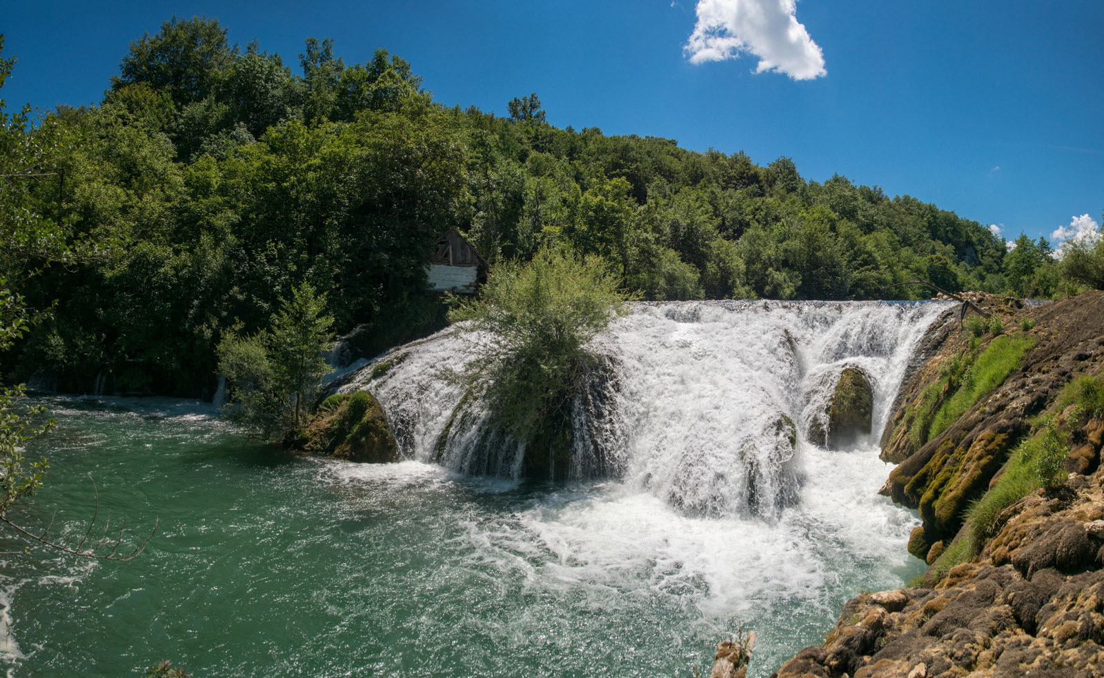 MREZNICA1 SUSNJAR PANORAMA